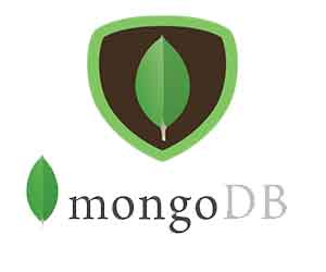 MongoDB Training in Mangalore