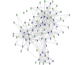 Network Analysis Training in Mangalore