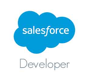 Salesforce Developer Training in Mangalore